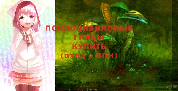 мяу мяу мука Алексеевка